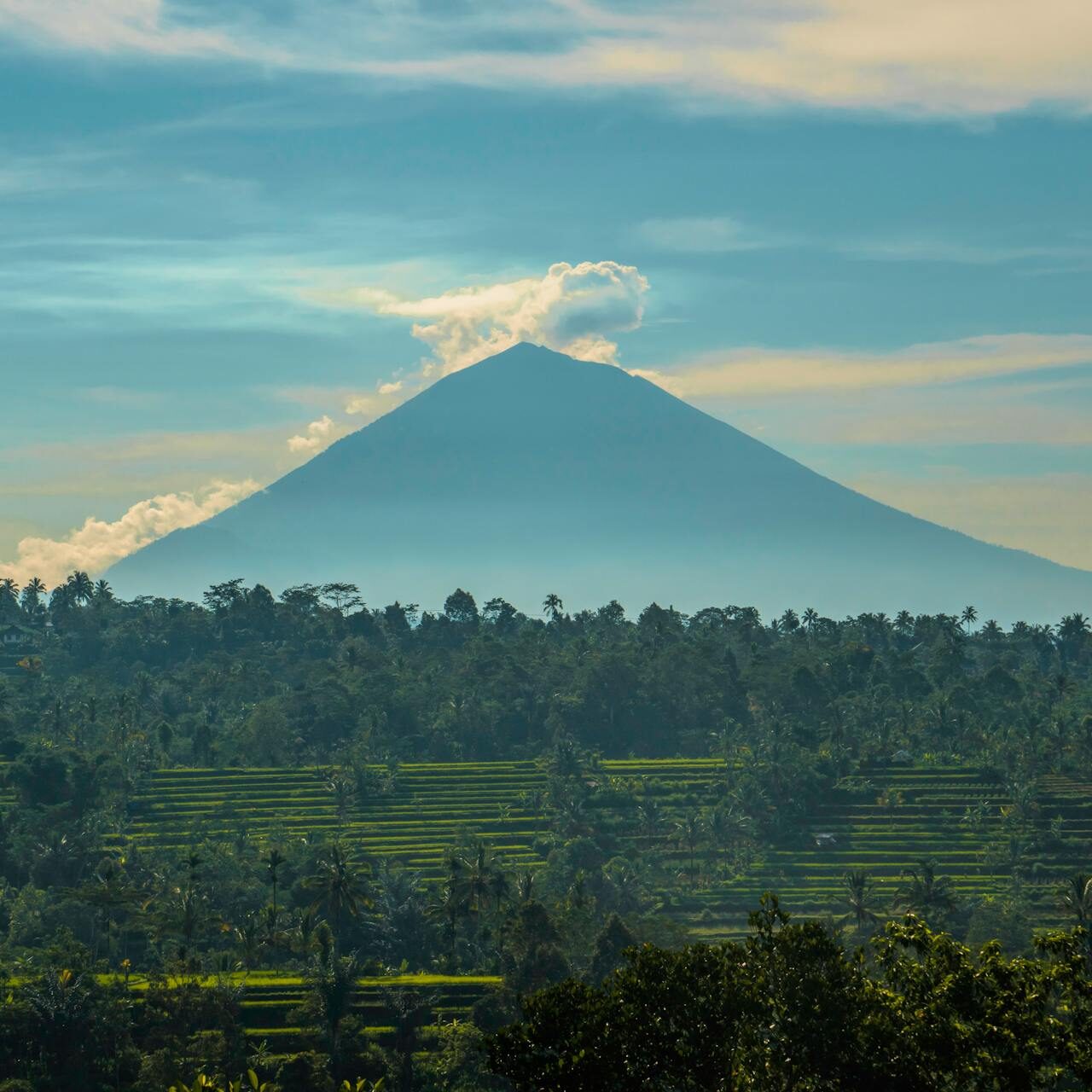 pexels-freestockpro-2166643